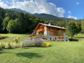 B & B Chalet Plan Bocenago